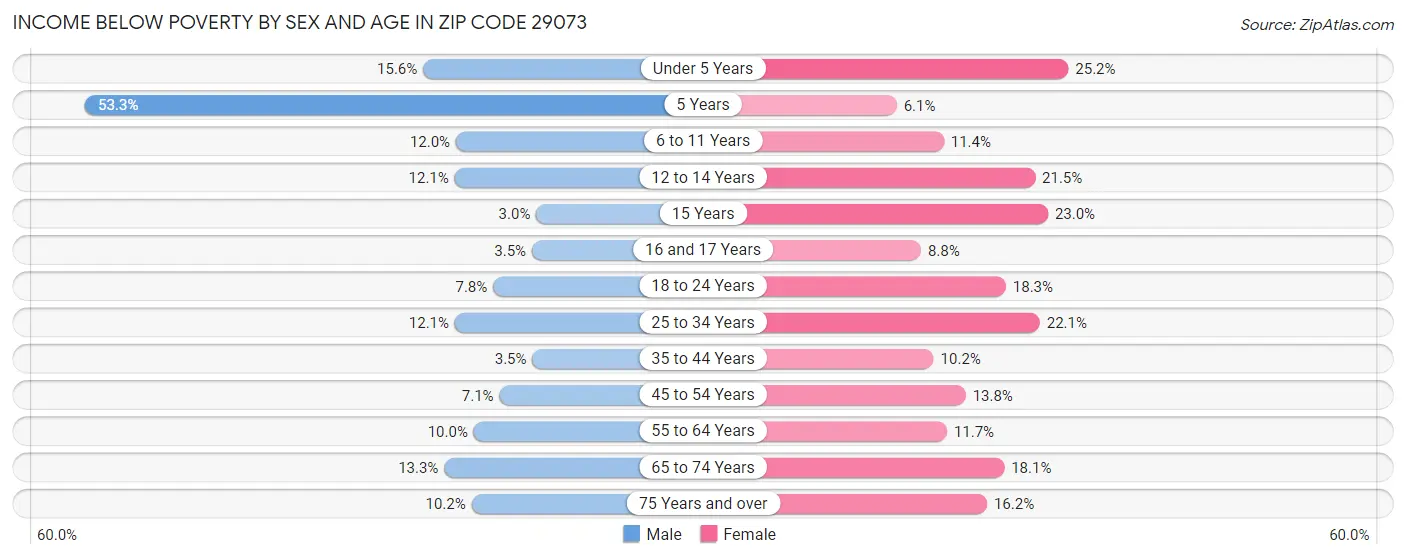 Income Below Poverty by Sex and Age in Zip Code 29073