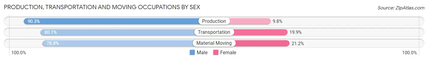 Production, Transportation and Moving Occupations by Sex in Zip Code 29073