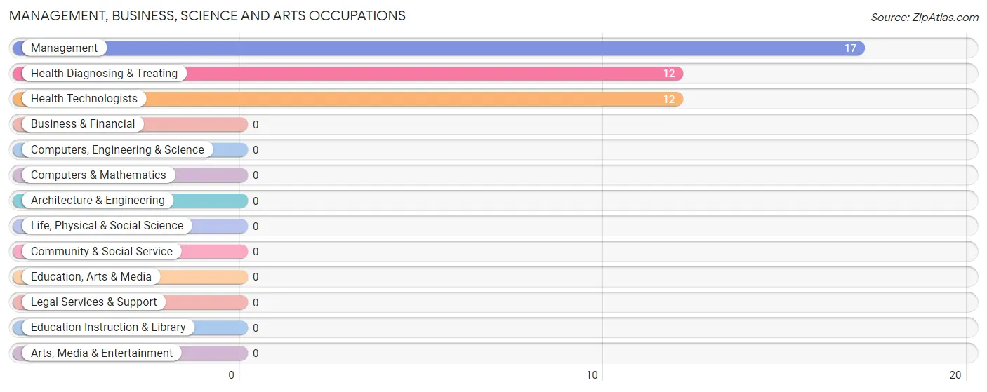 Management, Business, Science and Arts Occupations in Zip Code 29074