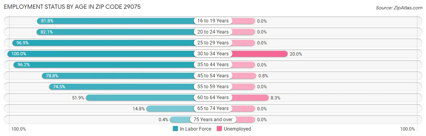 Employment Status by Age in Zip Code 29075