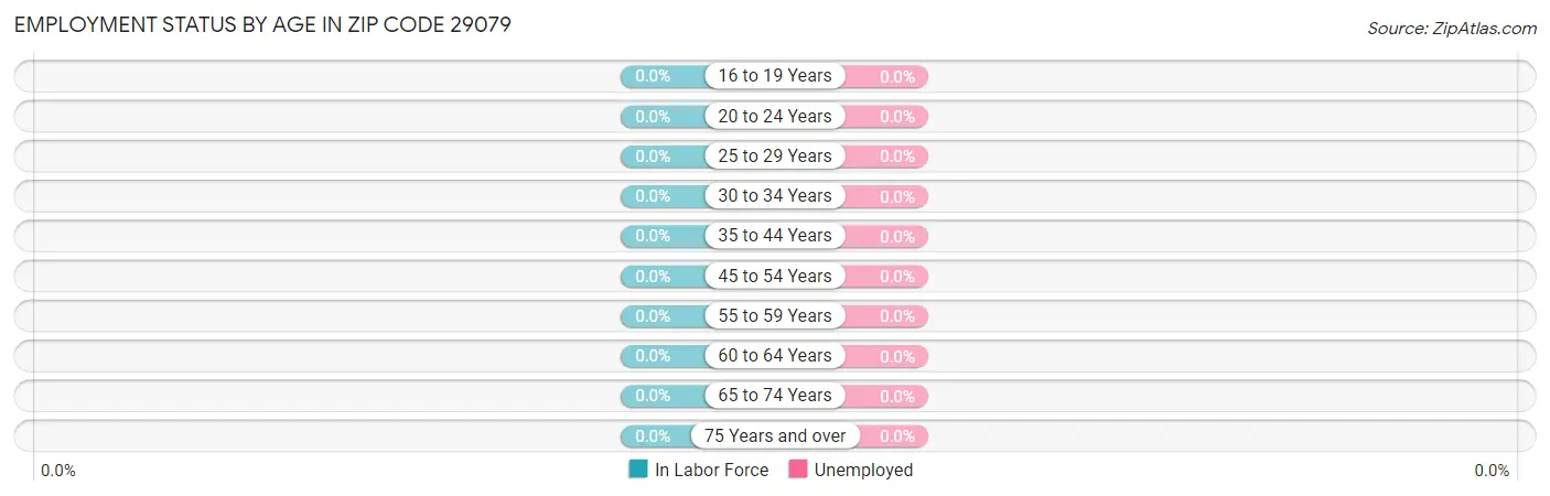 Employment Status by Age in Zip Code 29079