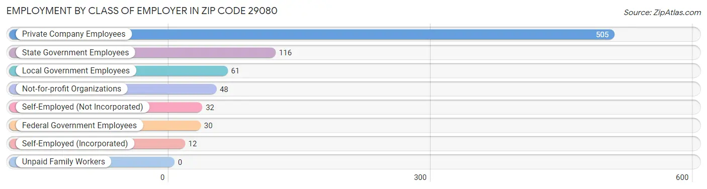 Employment by Class of Employer in Zip Code 29080