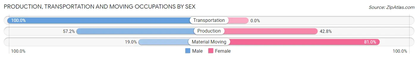 Production, Transportation and Moving Occupations by Sex in Zip Code 29080
