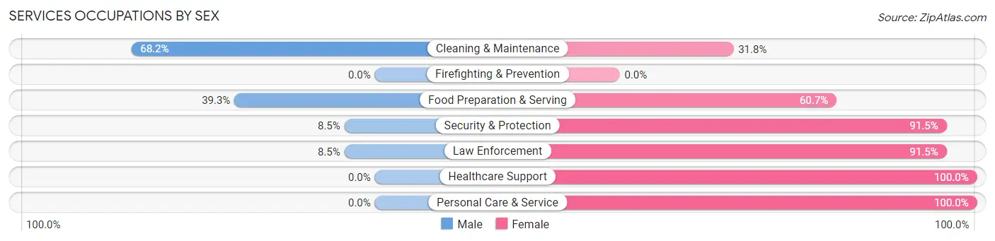 Services Occupations by Sex in Zip Code 29080