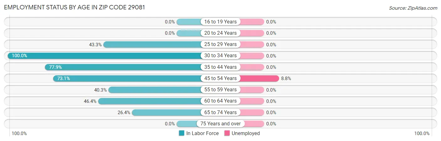 Employment Status by Age in Zip Code 29081