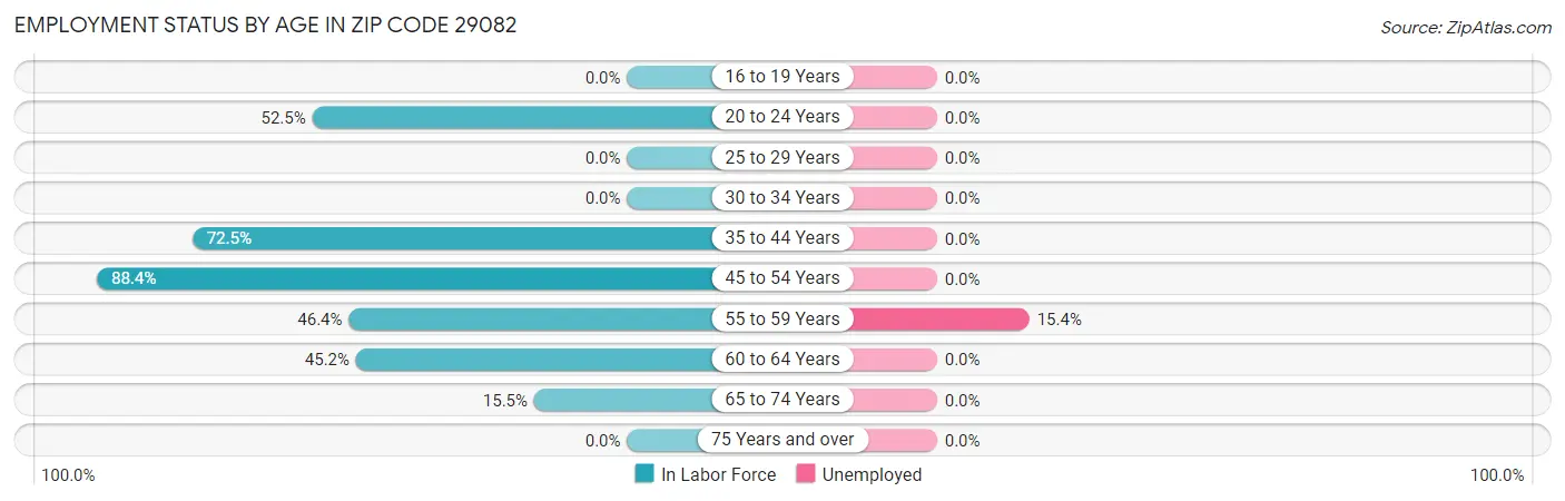 Employment Status by Age in Zip Code 29082