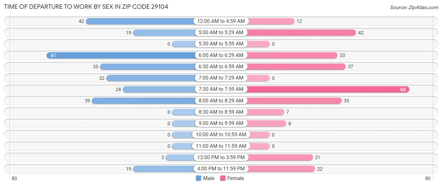 Time of Departure to Work by Sex in Zip Code 29104