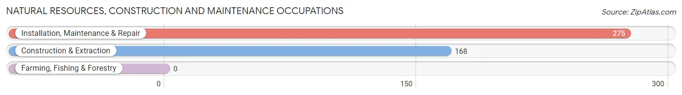 Natural Resources, Construction and Maintenance Occupations in Zip Code 29118