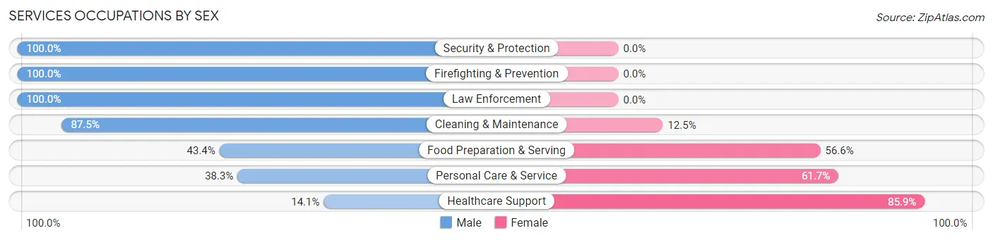 Services Occupations by Sex in Zip Code 29118