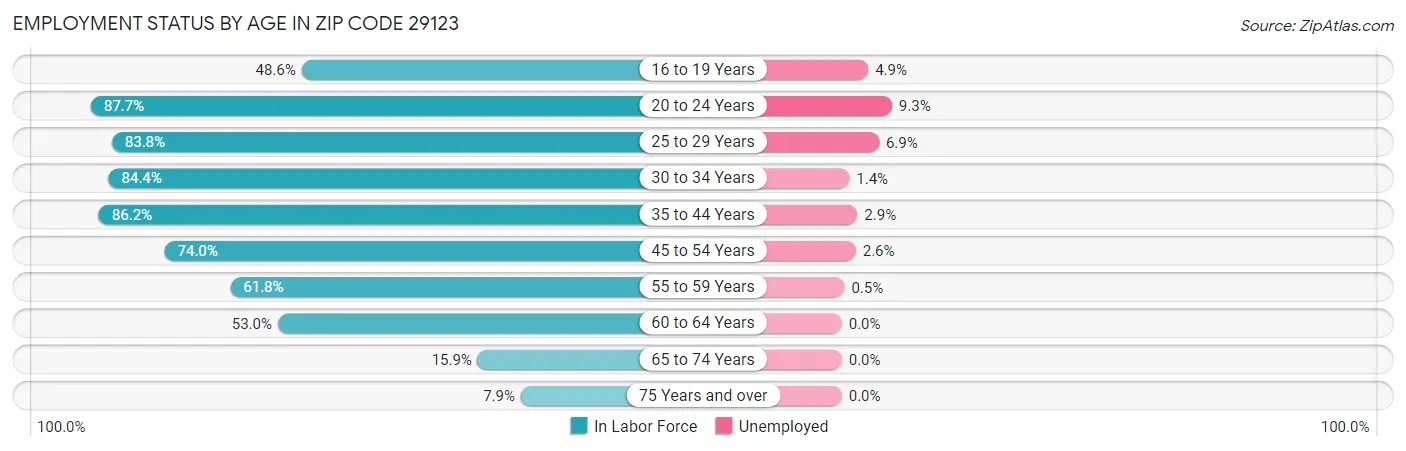 Employment Status by Age in Zip Code 29123