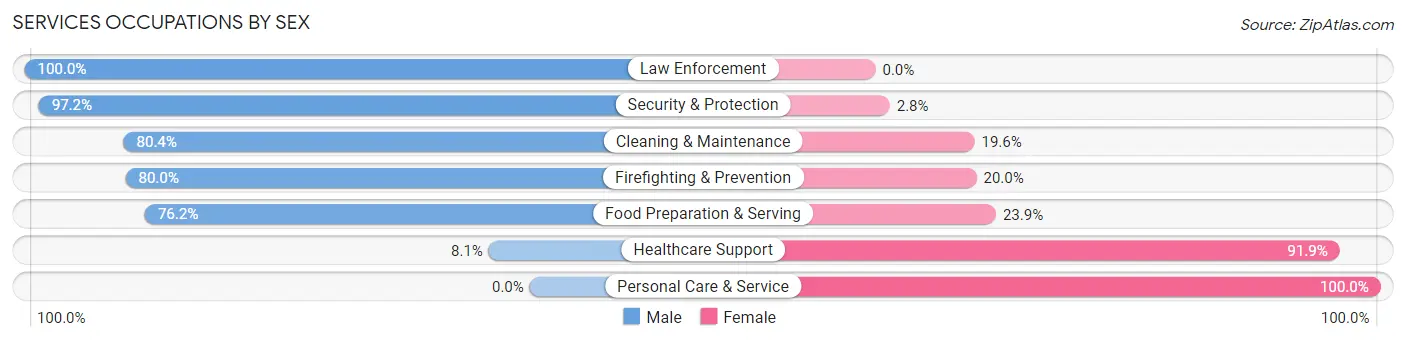 Services Occupations by Sex in Zip Code 29127