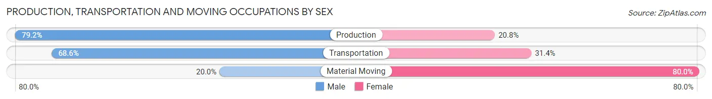 Production, Transportation and Moving Occupations by Sex in Zip Code 29128