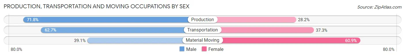 Production, Transportation and Moving Occupations by Sex in Zip Code 29130