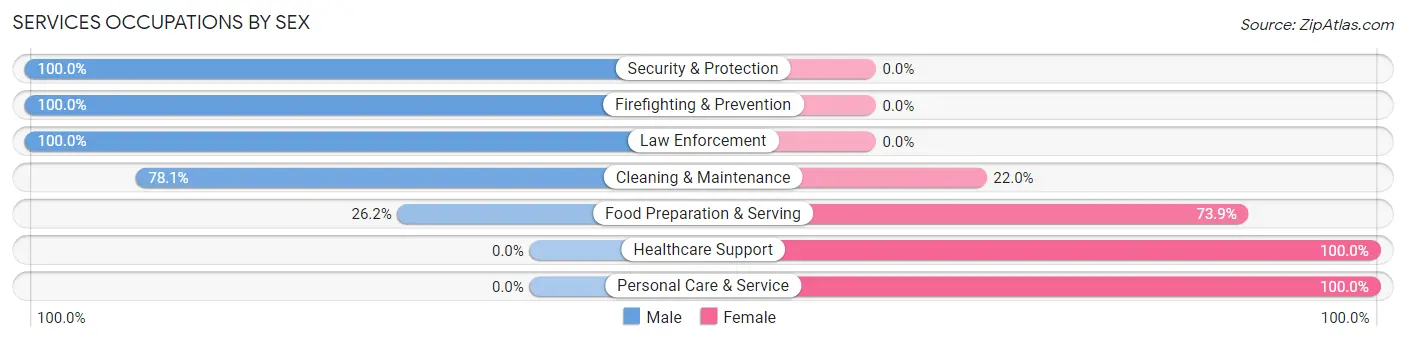 Services Occupations by Sex in Zip Code 29130