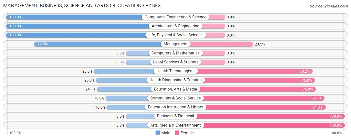 Management, Business, Science and Arts Occupations by Sex in Zip Code 29138