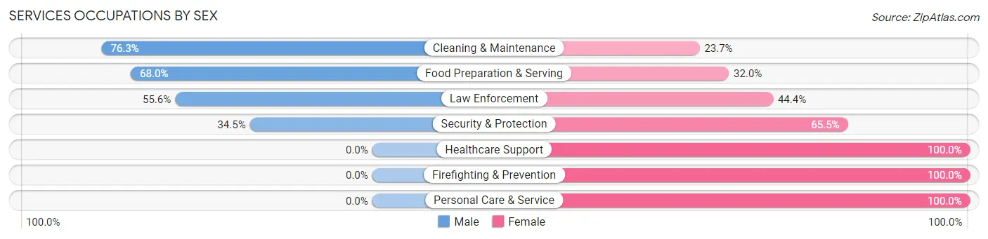 Services Occupations by Sex in Zip Code 29138