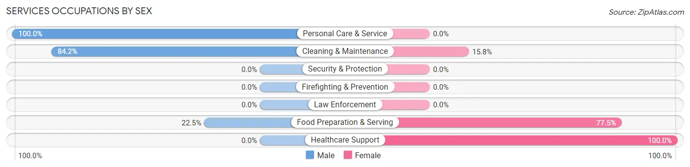 Services Occupations by Sex in Zip Code 29142