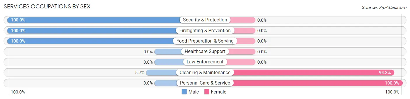 Services Occupations by Sex in Zip Code 29145