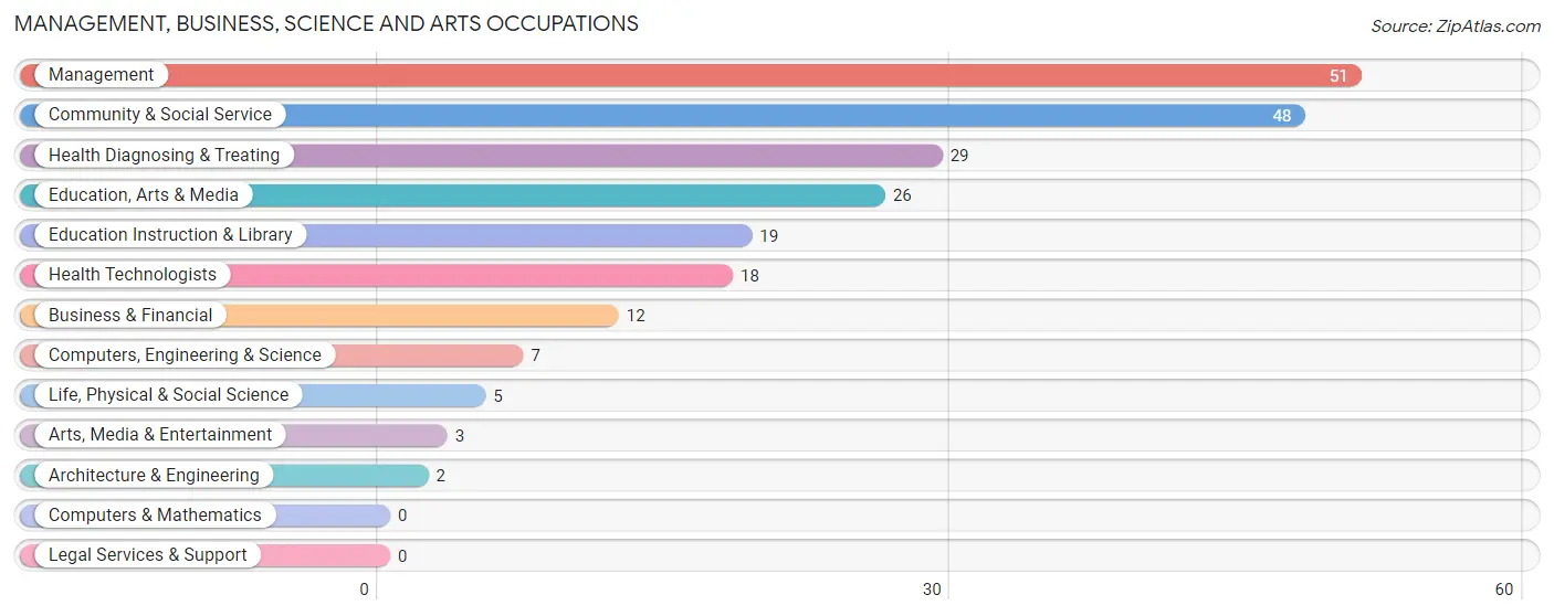 Management, Business, Science and Arts Occupations in Zip Code 29146