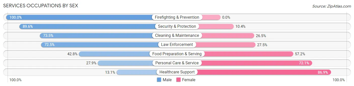Services Occupations by Sex in Zip Code 29153