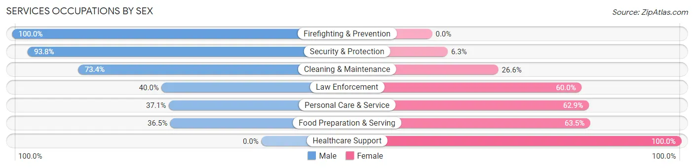 Services Occupations by Sex in Zip Code 29160