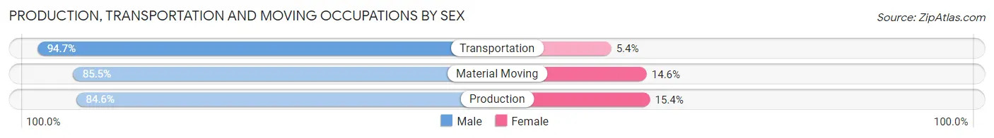 Production, Transportation and Moving Occupations by Sex in Zip Code 29161