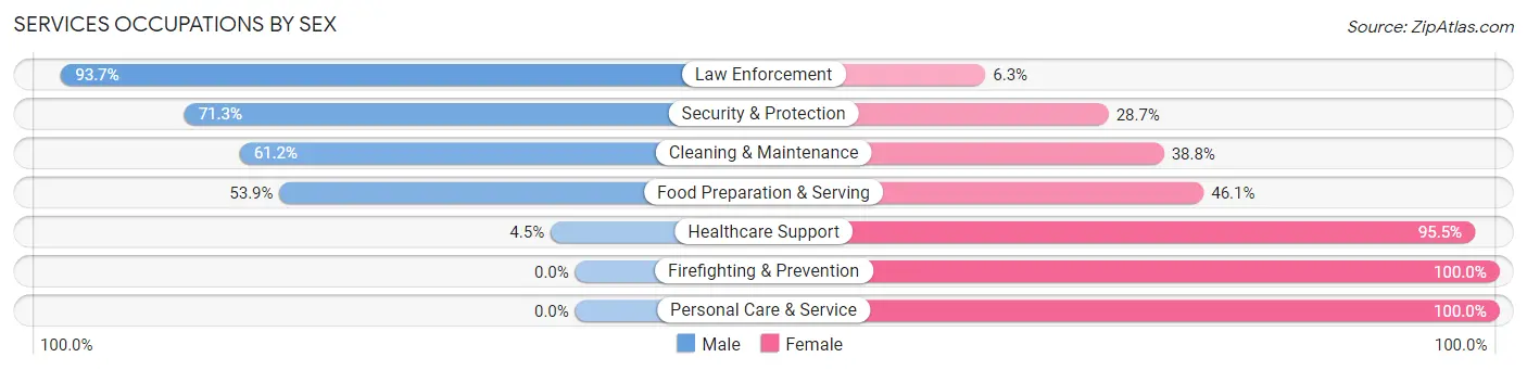 Services Occupations by Sex in Zip Code 29161