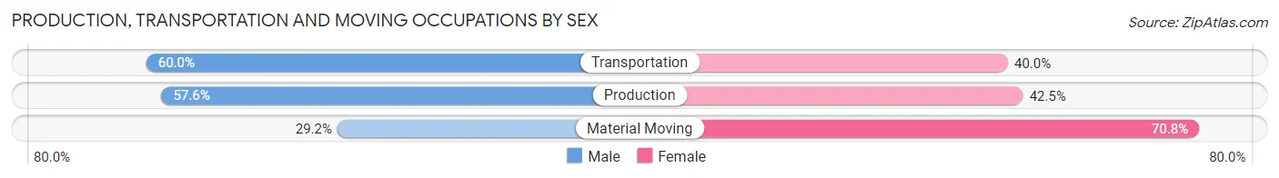 Production, Transportation and Moving Occupations by Sex in Zip Code 29163