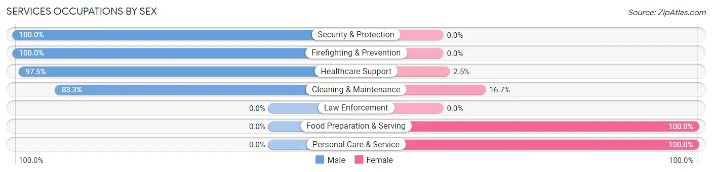 Services Occupations by Sex in Zip Code 29163