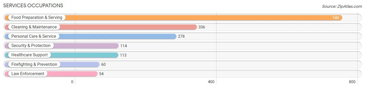 Services Occupations in Zip Code 29169