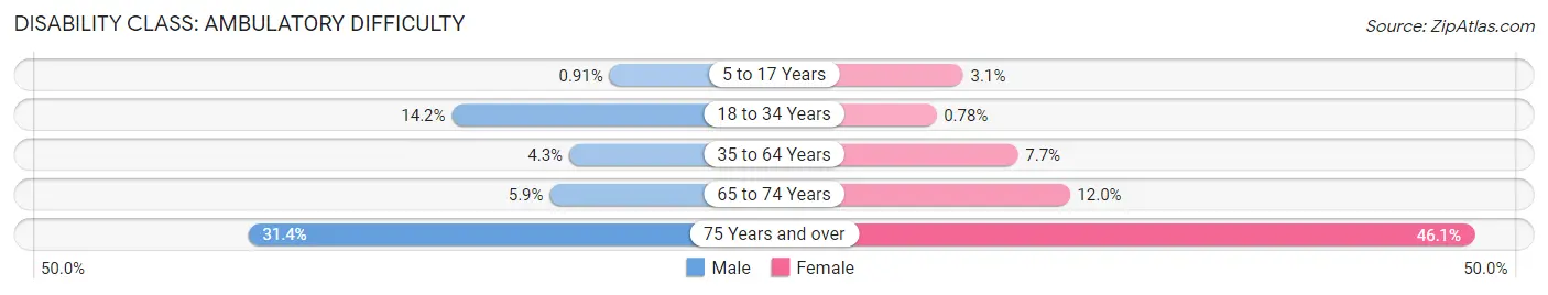 Disability in Zip Code 29172: <span>Ambulatory Difficulty</span>