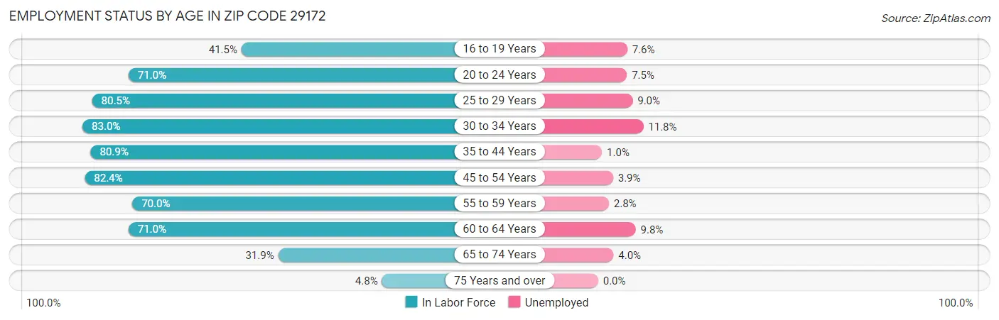 Employment Status by Age in Zip Code 29172