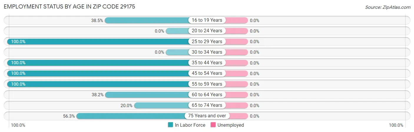 Employment Status by Age in Zip Code 29175