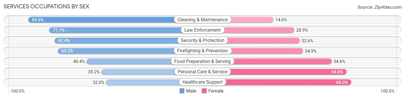 Services Occupations by Sex in Zip Code 29201