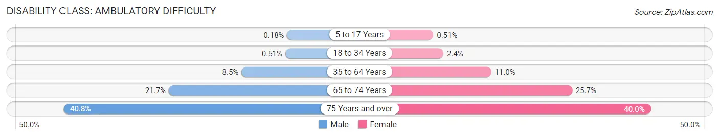 Disability in Zip Code 29203: <span>Ambulatory Difficulty</span>