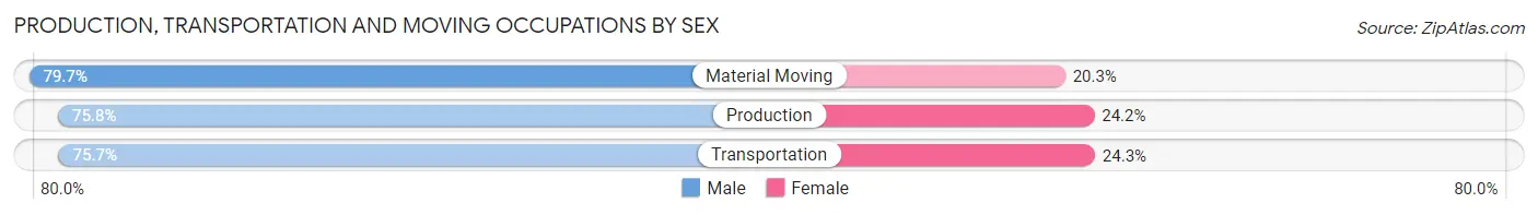 Production, Transportation and Moving Occupations by Sex in Zip Code 29203