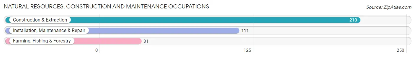 Natural Resources, Construction and Maintenance Occupations in Zip Code 29207