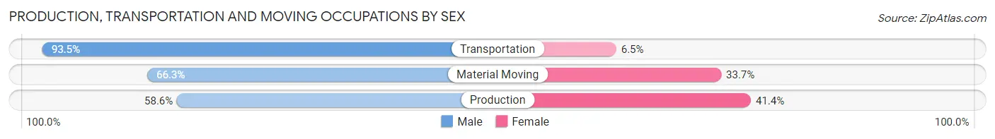 Production, Transportation and Moving Occupations by Sex in Zip Code 29207