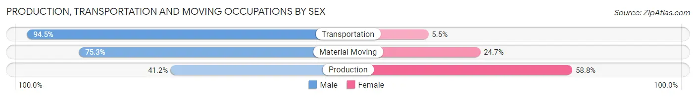 Production, Transportation and Moving Occupations by Sex in Zip Code 29209
