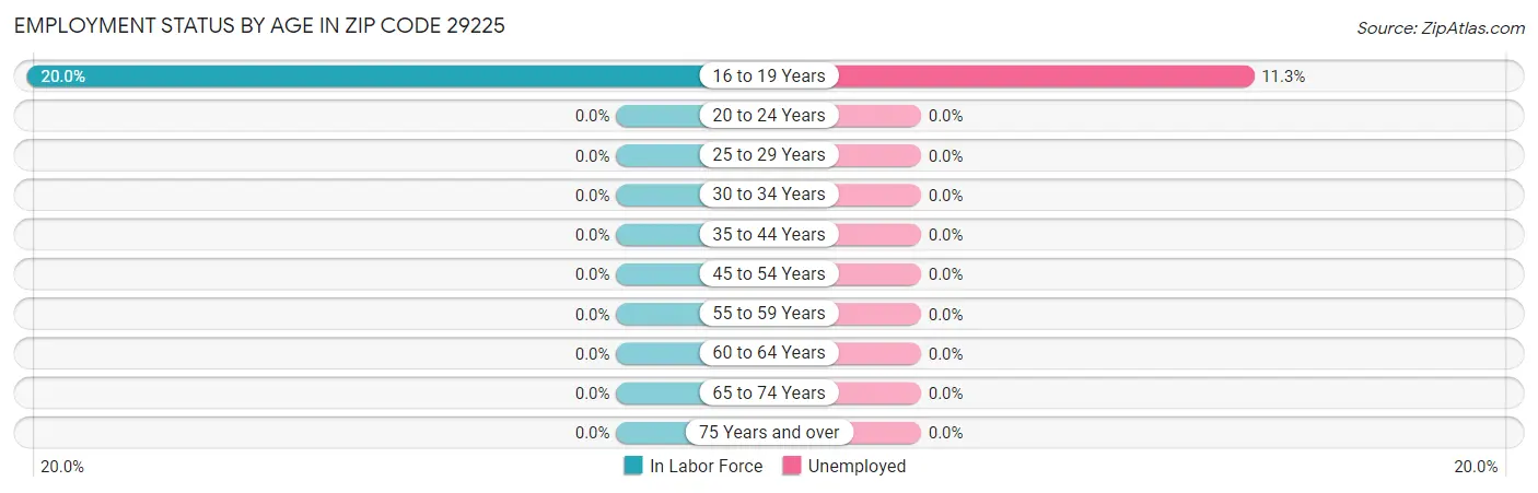 Employment Status by Age in Zip Code 29225