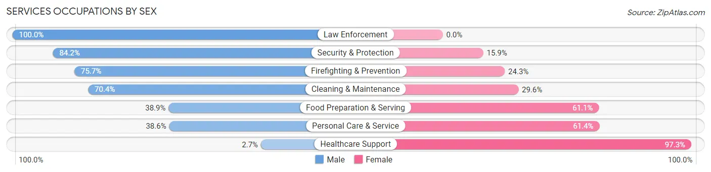 Services Occupations by Sex in Zip Code 29301