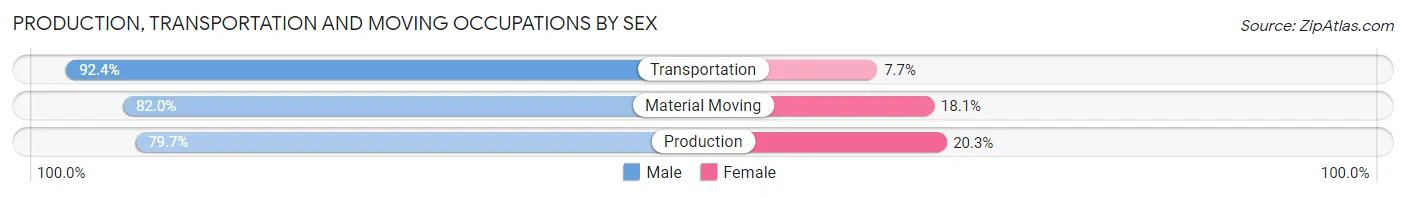 Production, Transportation and Moving Occupations by Sex in Zip Code 29302
