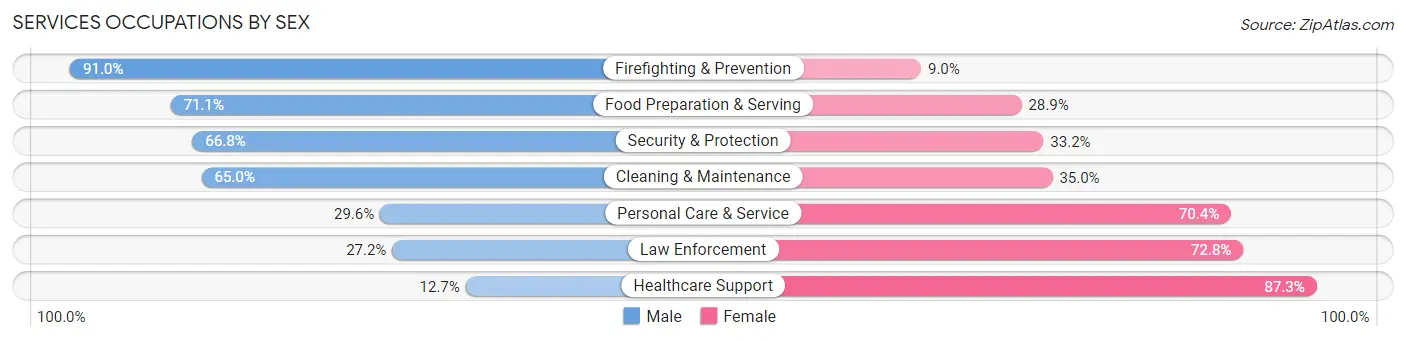 Services Occupations by Sex in Zip Code 29303