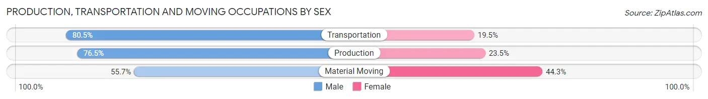 Production, Transportation and Moving Occupations by Sex in Zip Code 29316