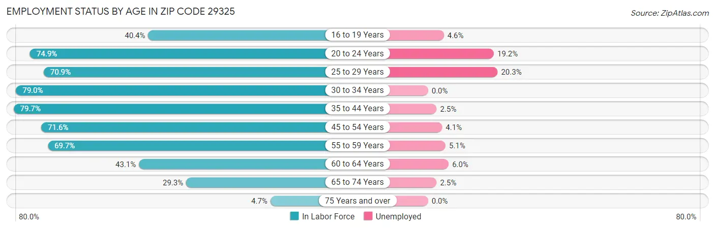 Employment Status by Age in Zip Code 29325