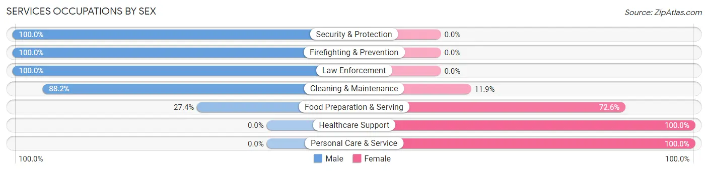 Services Occupations by Sex in Zip Code 29330