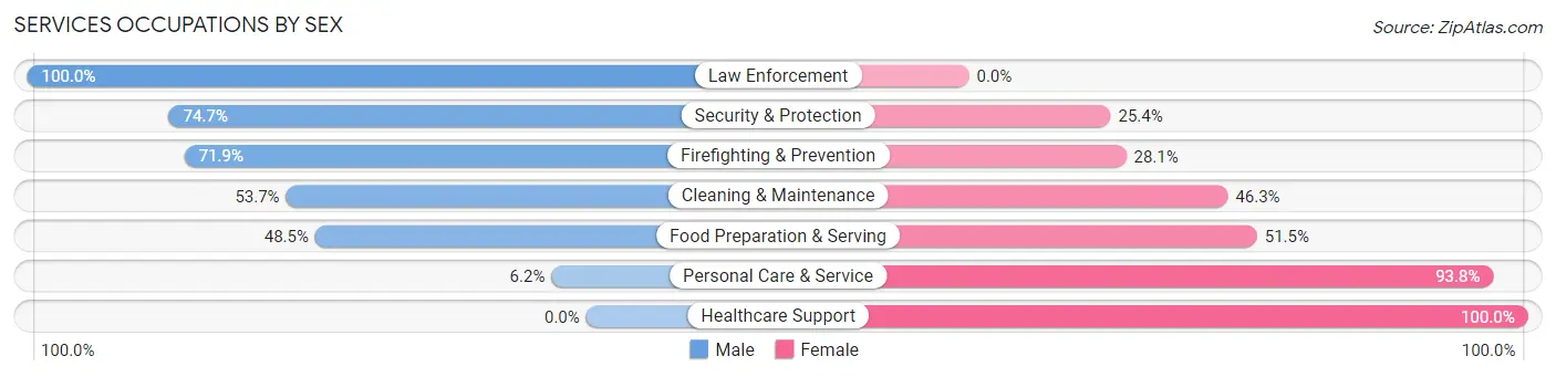 Services Occupations by Sex in Zip Code 29341