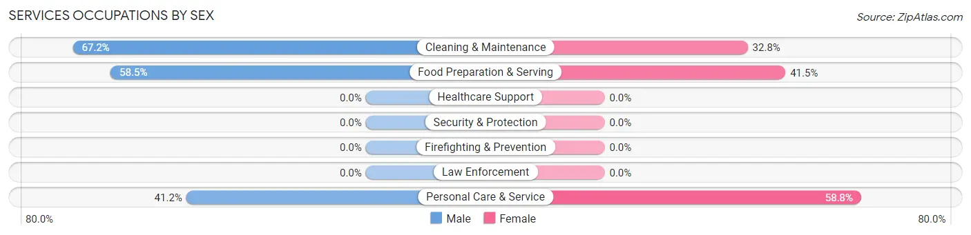 Services Occupations by Sex in Zip Code 29351
