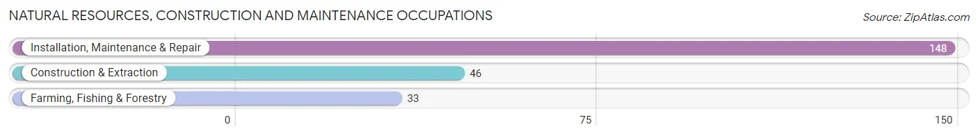 Natural Resources, Construction and Maintenance Occupations in Zip Code 29353