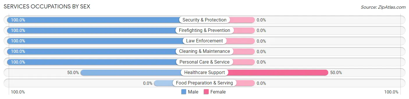 Services Occupations by Sex in Zip Code 29355
